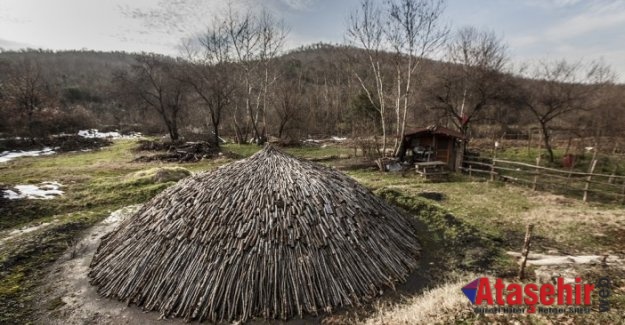 Mangal kömürü, Onların ekmek parası