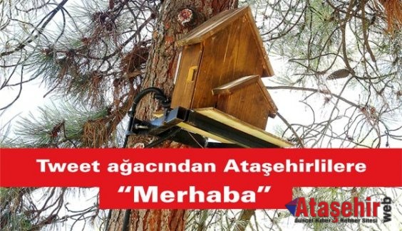 Tweet ağacından Ataşehirlilere “merhaba”