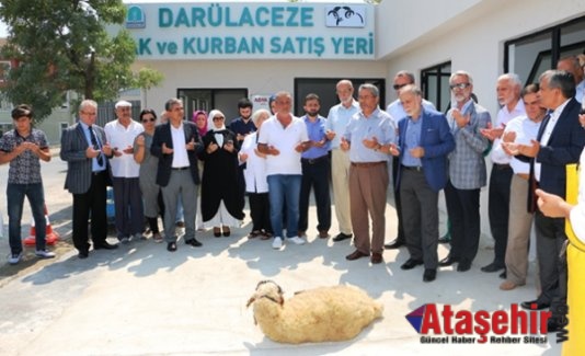 Darülaceze  Adak - Kurban Satış ve Kesimhanesi Yenilendi.