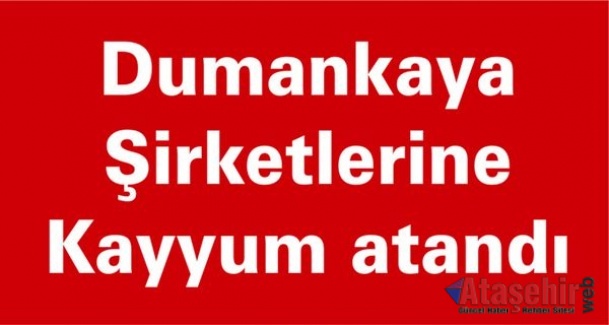 Dumankaya şirketlerine kayyum atandı