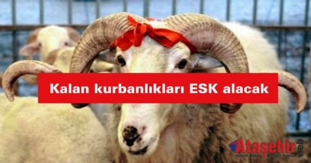 Kalan kurbanlıkları ESK alacak