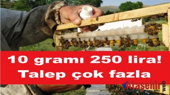 10 gramı 250 lira! Talep çok fazla