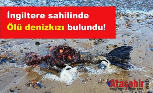 İngiltere sahilinde ölü denizkızı bulundu!