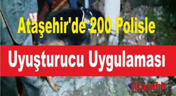 Ataşehir'de 200 Polisle Uyuşturucu Uygulaması