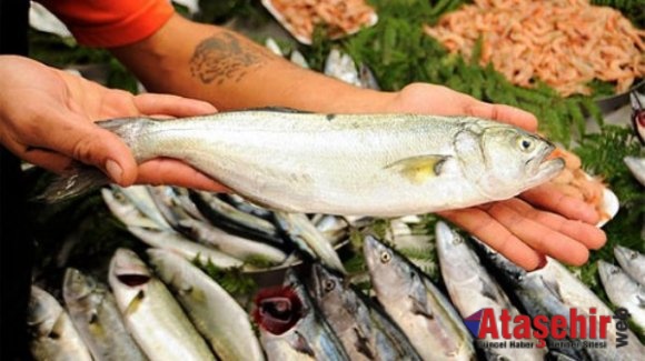 Lüfer yemek İstiyorsak Çinekop Tüketmeyelim