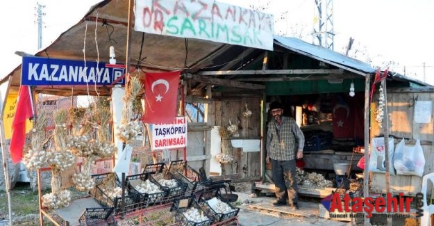 Sarımsağını "esnafsız tezgah"ta satıyor