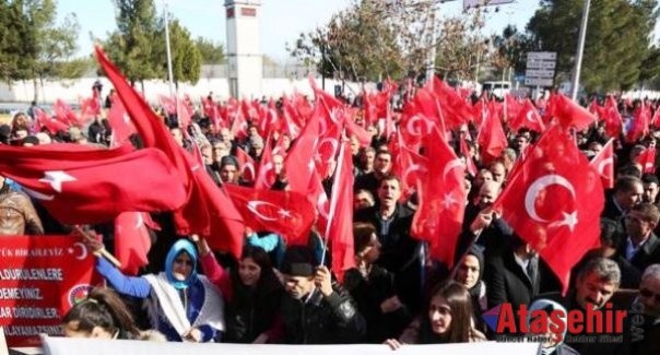 Diyarbakır’da Terör Protestosu