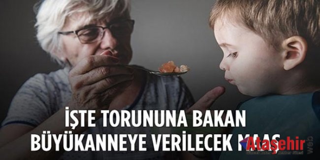 Torununa bakacalara verilecek tutar belli oldu