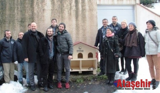 Üsküdar Belediyesi, yıkılan kedi evi yerine özel kedi evleri yerleştirdi