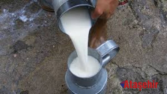Açık süt insan sağlığını tehdit ediyor