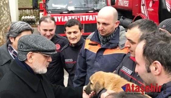 Beykoz'da  “Kuyu” Köpek Kurtarıldı