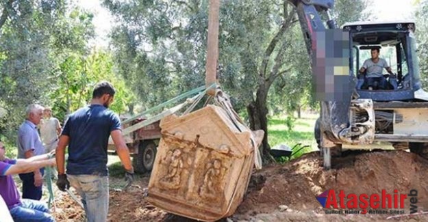 İznik'te Zeytin bahçesinden lahit fışkırıyor