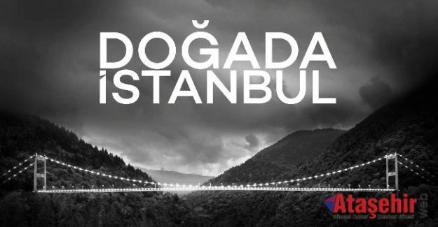 Kız Kulesi Bolu Dağı’na taşındı!