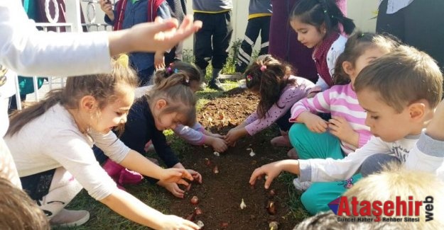 Ataşehir'de Çocuklar Baharı Lale Soğanı Dikerek Karşıladılar