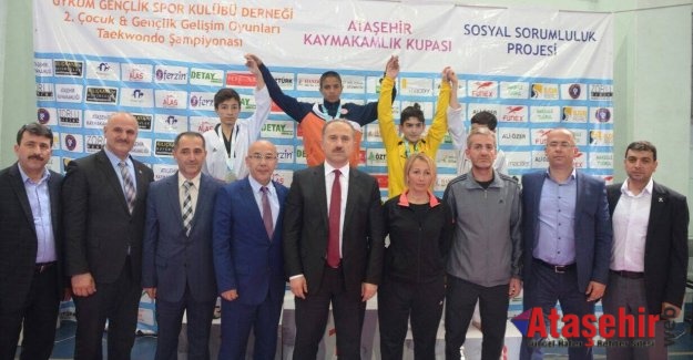 ATAŞEHİR KAYMAKAMLIK KUPASI TAEKWONDO ŞAMPİYONASI SONA ERDİ