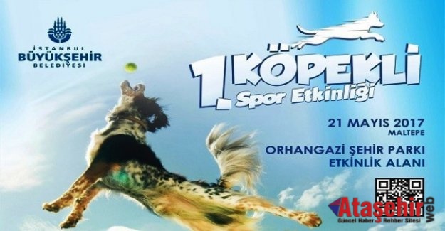 Köpeğini Al Gel, Spor Yap