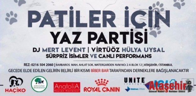 "Patiler için Yaz Partisi"