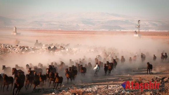 Türk öğrencilere yurtdışından 13 ödül