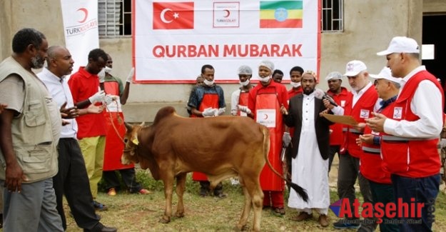 Türkiye’de ve üç kıtada kurban kesimleri başladı