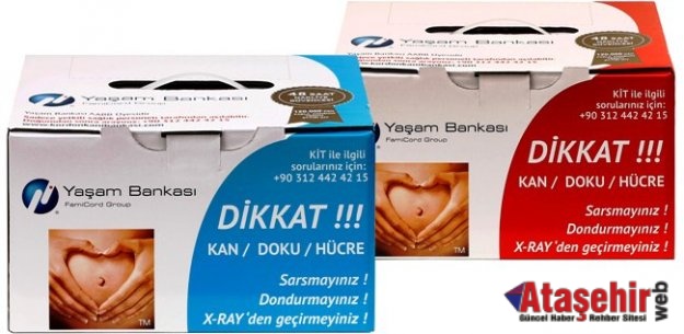 Cankurtaran hücreler kordon kanında saklı