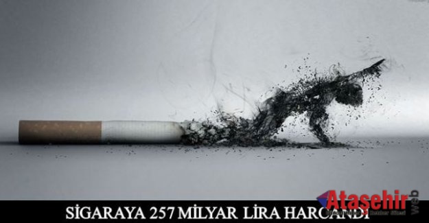 SİGARAYA 257 MİLYAR LİRA HARCANDI