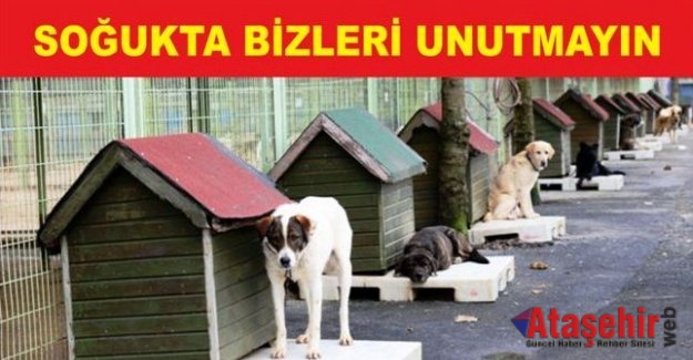 SOĞUKTA BİZLERİ UNUTMAYINIZ