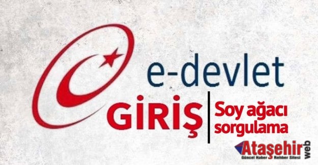 Soy ağacı sorgulamaya günlük kota getirildi