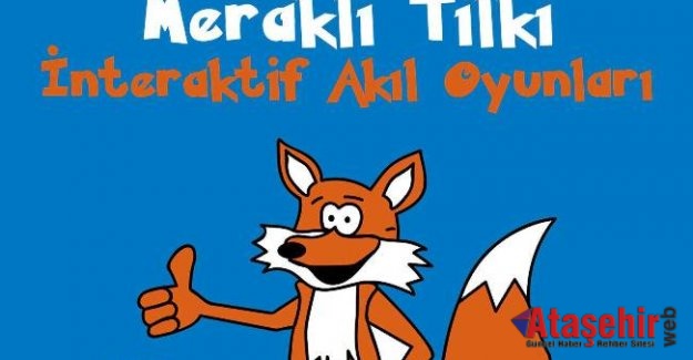 MERAKLI TİLKİ