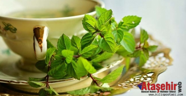Yeşil Çay’ın Ağız ve Diş Sağlığına Etkisi