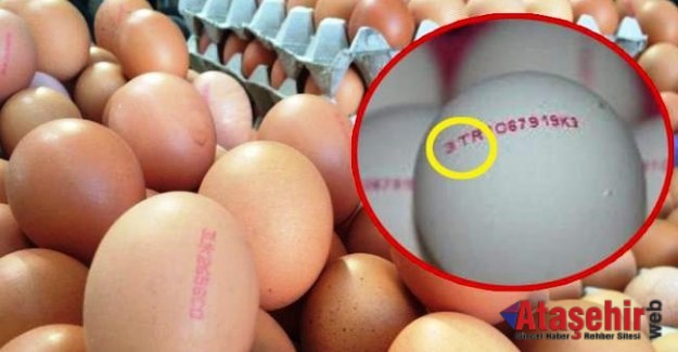 Yumurtanızın Üzerindeki Kodlara dikkat