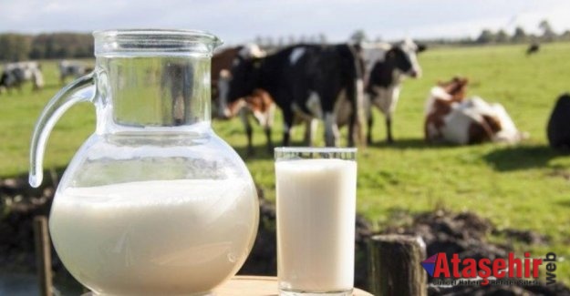 Yüksek Tansiyon Riskini Süt İçerek Azaltın