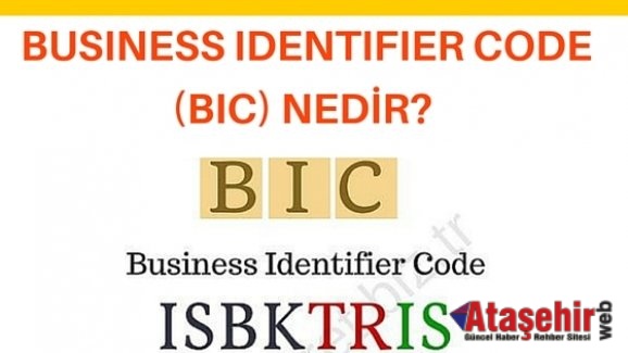 BIC Nedir, BIC Ne Demek, Türk Bankaları BIC Kodları