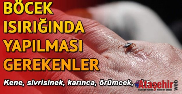 BÖCEK SOKMALARINA KARŞI İLK YAPILMASI GEREKENLER