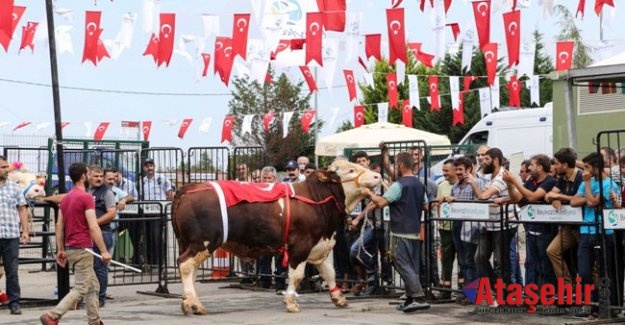 Kurbankent Güzeli ‘Dadaş’ Oldu