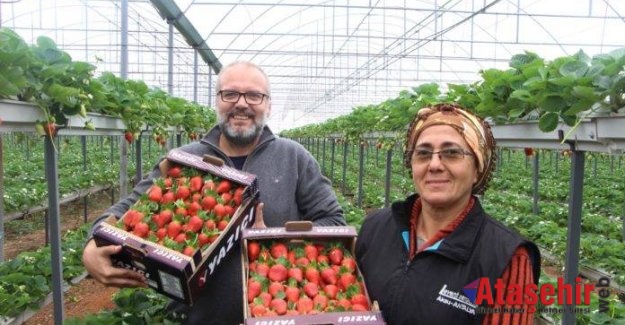 SERASINDAN TOPRAĞI ÇIKARDI, GELİRİNİ 5’E KATLADI