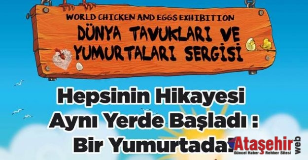 Dünyanın en özel yumurtaları İstanbullularla buluşuyor