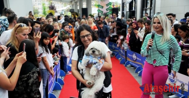 Patili dostlar Pati Fest’te bir araya geldi