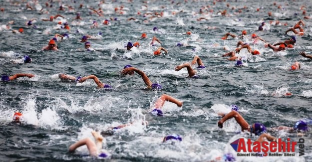 Boğaz’da Yüzme Yarışı için Son Viraj: Elemeler Tamamlandı