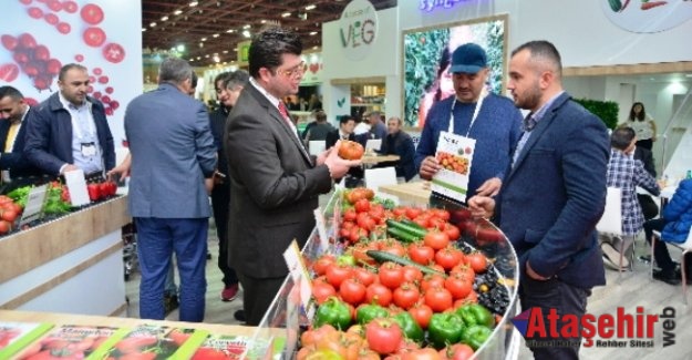 Türkiye, tohum üretimi ve ihracatında atağa kalktı