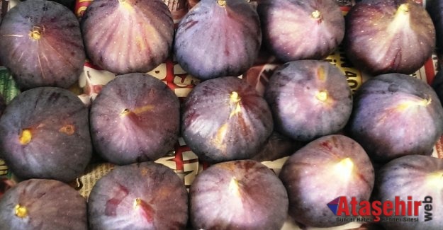 Taze siyah incirin ihracatı 29 Temmuz'da başlıyor