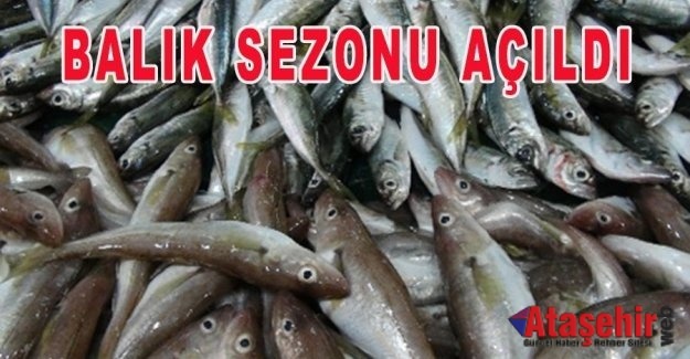 BALIK SEZONU AÇILDI