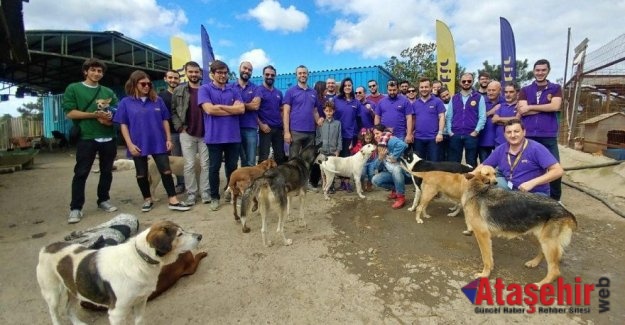 Ataşehir'de barınakta bakılan köpeklere mama yardımı yapıldı