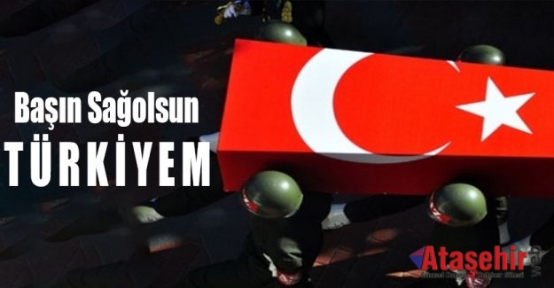 Başın Sağolsun Türkiyem