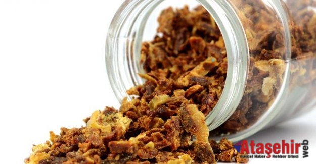 Bağışıklık Sisteminin Destekçisi: Propolis