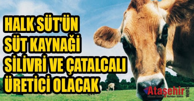 HALK SÜT’ÜN SÜT KAYNAĞI SİLİVRİ VE ÇATALCALI ÜRETİCİ OLACAK