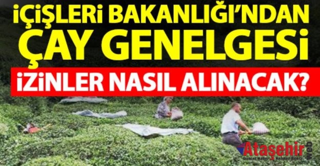 İçişleri Bakanlığı'ndan çay genelgesi