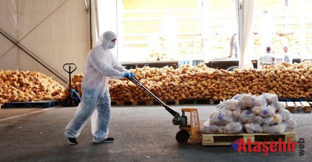 İSTANBULLUYA SOĞAN VE PATATES  ADANA’DAN