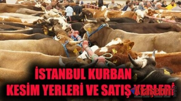 İstanbul kurban satış ve kesim yerleri