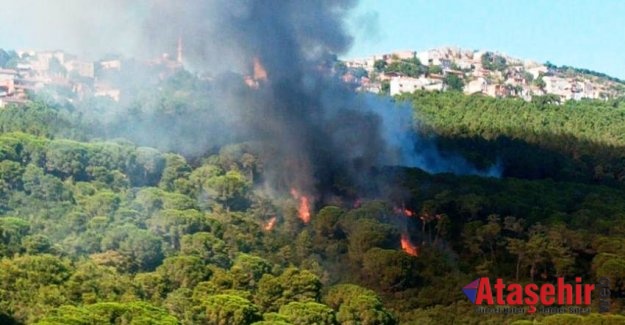 MALTEPE’DEKİ YANGIN SÖNDÜRÜLDÜ