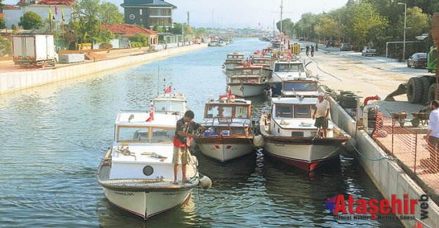 Kurbağalıdere’ye kefaller döndü